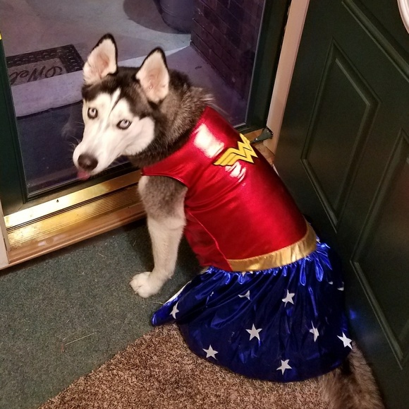 Meet your Posher, Angie - Picture 2 of 8